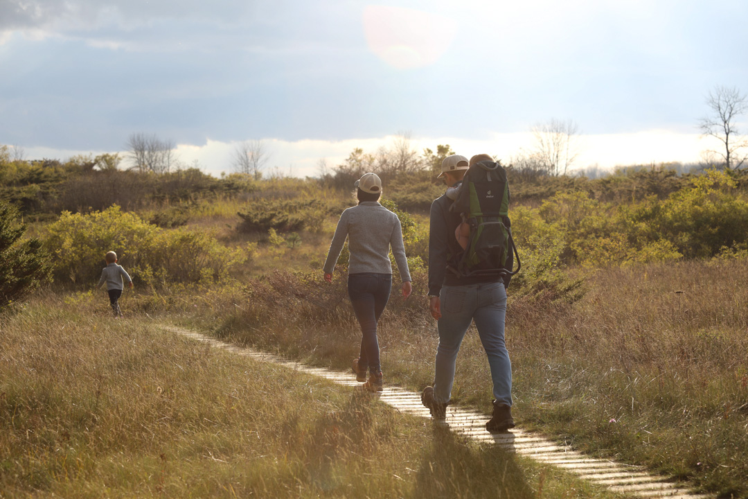 Hiking 10