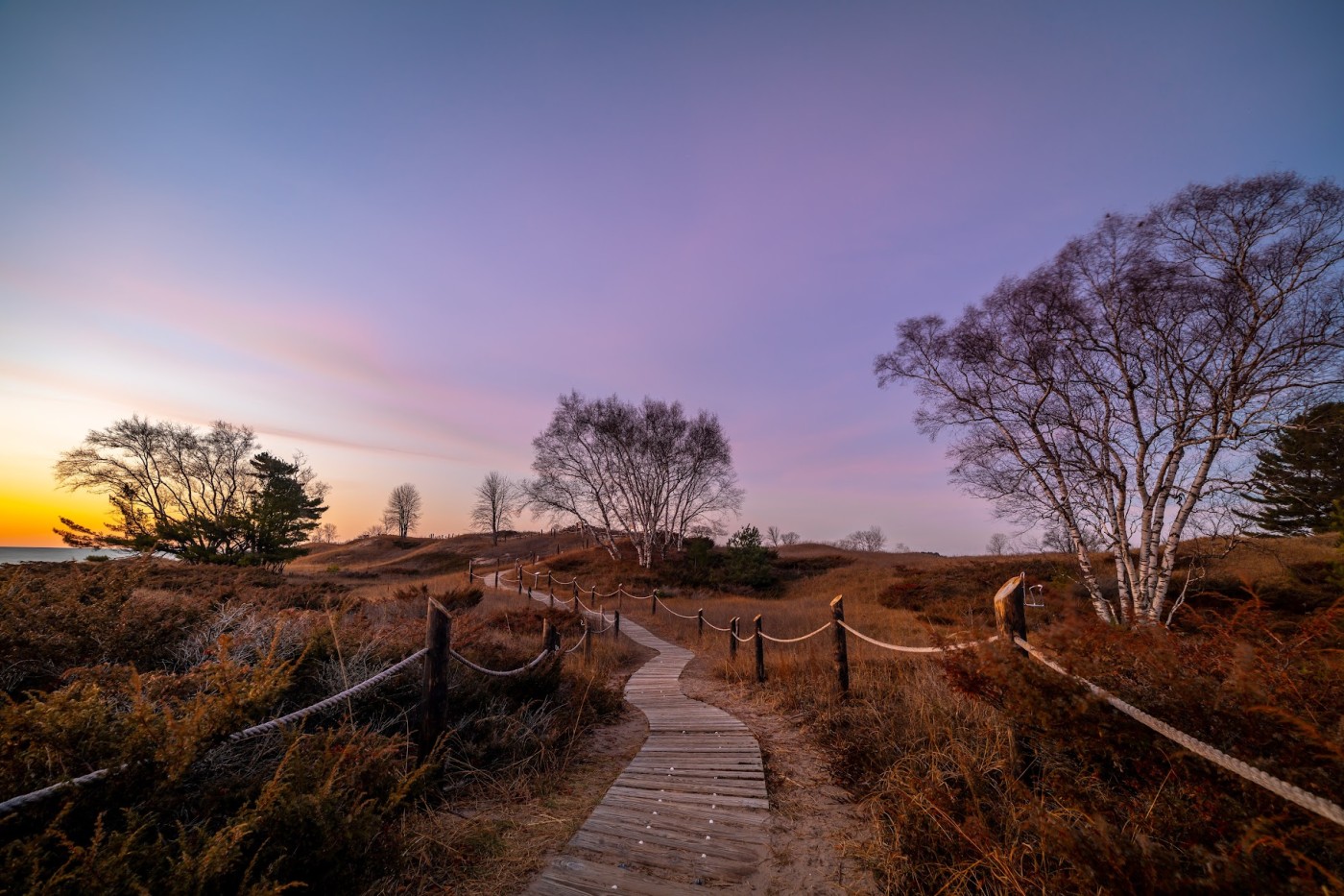 sunrise kohler andre